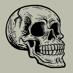 Retro vintage skull in side view angle vector illustration with grey background