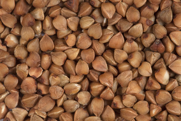 Background in the form of grains of buckwheat