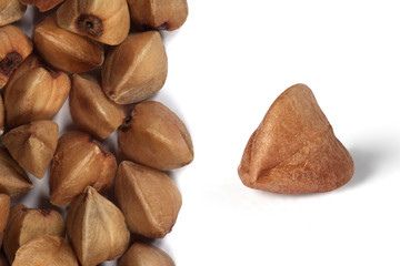 Closeup of buckwheat grains on white background