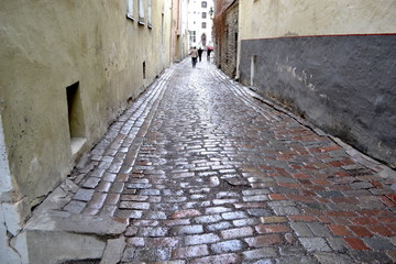 a wet stone-paved narrow path