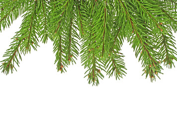 Christmas green framework isolated on white background