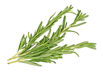 Three sprigs of rosemary isolated on white background