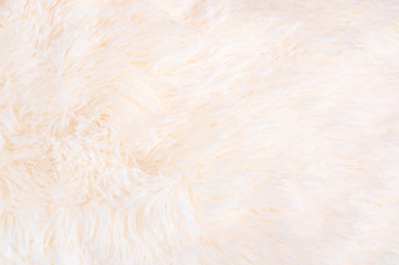 Shaggy fur texture