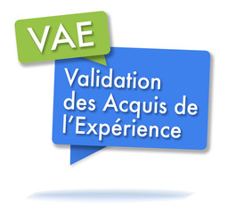 French VAE initals in colored bubbles