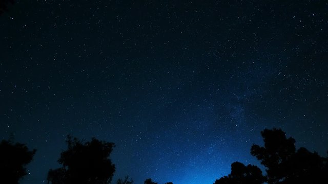 Night sky and stars, timelapse milky way and glow above tree forest, star and airliner trails.
