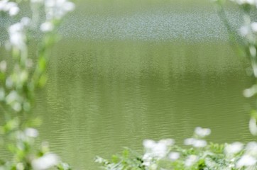 nature lake water texture