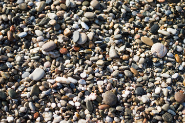 Sea pebbles