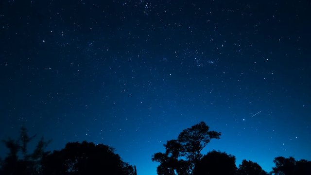 Night sky and stars, timelapse milky way and glow above tree forest, star and airliner trails.
