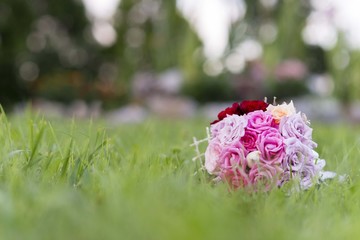 bouquet of roses on grass