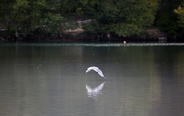 marais salant olonne sur mer