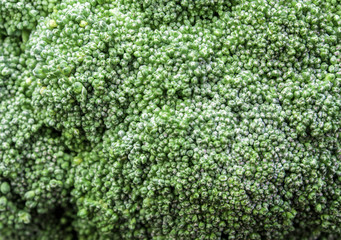 Surface texture of freshness Broccoli vegetable