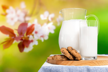Jug and a glass of milk on a wooden table