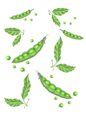 ripe vegetables. Raster illustration.