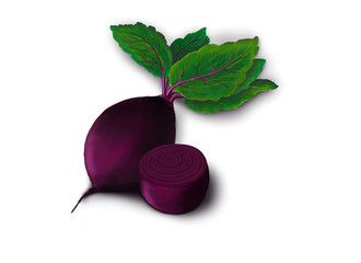 ripe vegetables. Raster illustration.