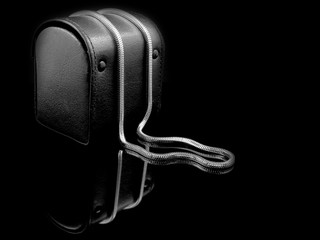 Jewel Necklace - Stainless steel