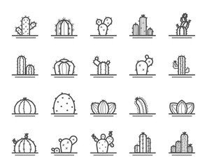 Cactus line icon set