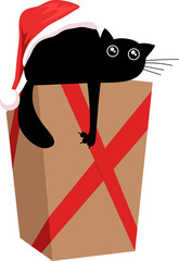 cat in a box with Christmas gifts