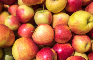 Fototapeta na wymiar apples on the market counter