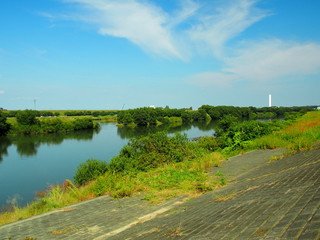 秋の江戸川