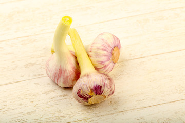 Garlic
