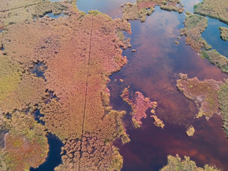 Aerial view of Colorful Reed on the lake