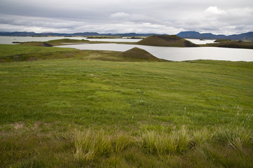 Fototapeta na wymiar Lake Myvatn, Typical Icelandic landscape, a wild nature of rocks and shrubs, rivers and lakes.