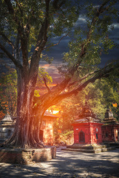 Pashupatinath Temple