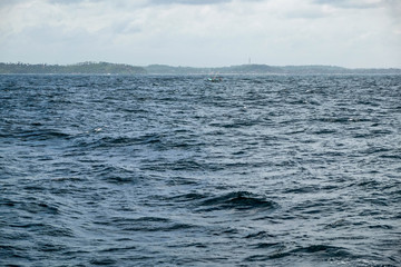 The wild south of the Indian ocean