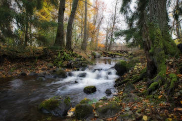 Naklejka na ściany i meble Creek in autumn landscape