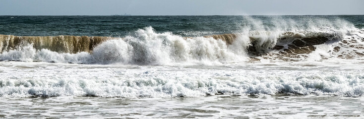 The wild south of the Indian ocean