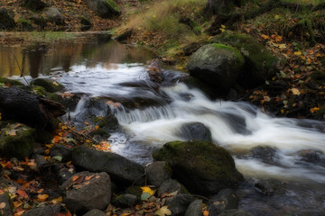 Fototapeta premium Creek in autumn landscape