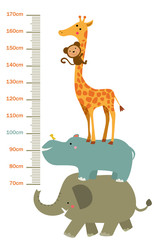 The child's height illustrations