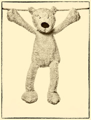 Osito de peluche