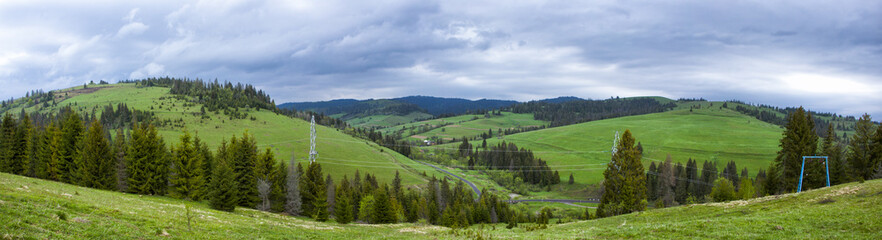 Fototapeta premium Mountain with green hills and pine trees on the slopes of a cloudy overcast