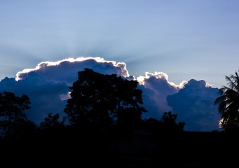 silhouette of tree and sky with cloud in Evening time, Thailand