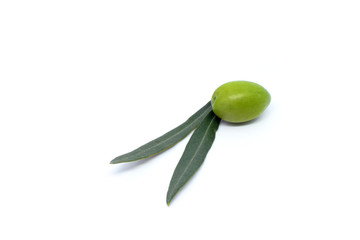 Oliva con foglie su sfondo bianco 