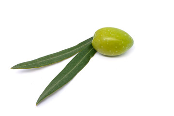 Oliva con foglie su sfondo bianco 