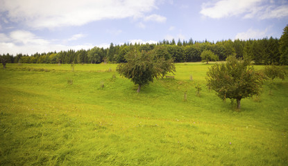 Landschaft