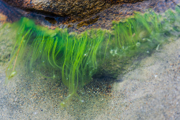 Coastline in Lefkada island