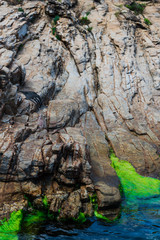 Fototapeta premium Coastline in Lefkada island