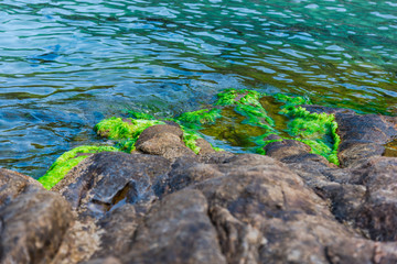 Coastline in Lefkada island