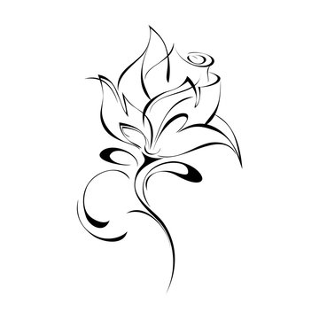 ornament 159. stylized rose in black lines on a white background