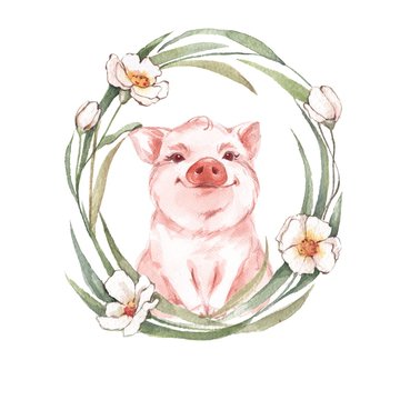 Pig and floral wreath. Watercolor illustration