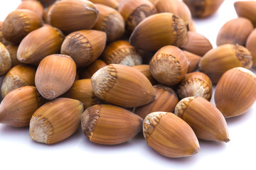 Noisettes