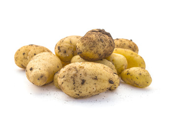 Pommes de terre