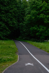 Fototapeta premium empty asphalt road in the countryside in autumn