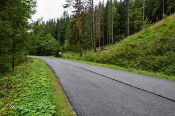 Fototapeta na wymiar empty asphalt road in the countryside in autumn