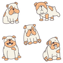 set of bulldogs