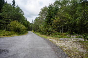 Fototapeta na wymiar empty asphalt road in the countryside in autumn