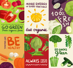 Vegetables Posters And Banners Set
